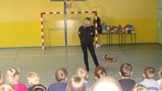  Grafika #1: Schronisko dla bezdomnych zwierząt OTOZ Animals w Dąbrówce k/ Wejherowa