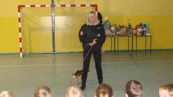  Grafika #2: Schronisko dla bezdomnych zwierząt OTOZ Animals w Dąbrówce k/ Wejherowa