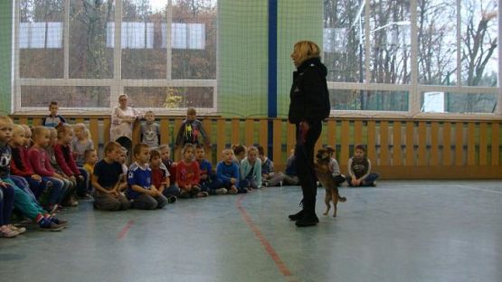  Grafika #5: Schronisko dla bezdomnych zwierząt OTOZ Animals w Dąbrówce k/ Wejherowa