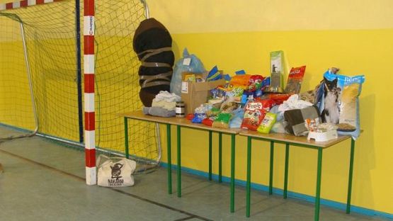  Grafika #6: Schronisko dla bezdomnych zwierząt OTOZ Animals w Dąbrówce k/ Wejherowa