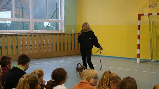  Grafika #7: Schronisko dla bezdomnych zwierząt OTOZ Animals w Dąbrówce k/ Wejherowa