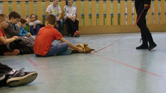  Grafika #10: Schronisko dla bezdomnych zwierząt OTOZ Animals w Dąbrówce k/ Wejherowa