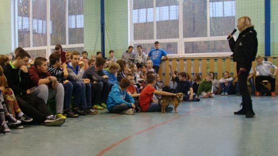  Grafika #11: Schronisko dla bezdomnych zwierząt OTOZ Animals w Dąbrówce k/ Wejherowa