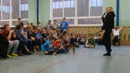  Grafika #13: Schronisko dla bezdomnych zwierząt OTOZ Animals w Dąbrówce k/ Wejherowa