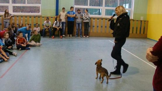  Grafika #16: Schronisko dla bezdomnych zwierząt OTOZ Animals w Dąbrówce k/ Wejherowa