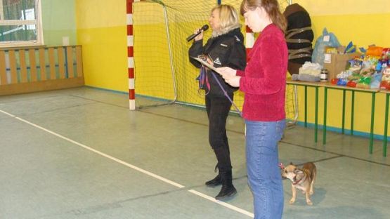  Grafika #17: Schronisko dla bezdomnych zwierząt OTOZ Animals w Dąbrówce k/ Wejherowa