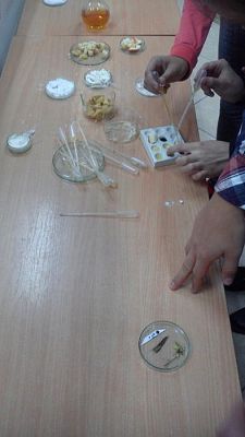  Grafika #10: Warsztaty chemiczne pt. Nie tylko cukier slodki