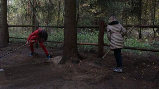  Grafika #10: Pamiętamy o poległych w czasie I wojny światowej