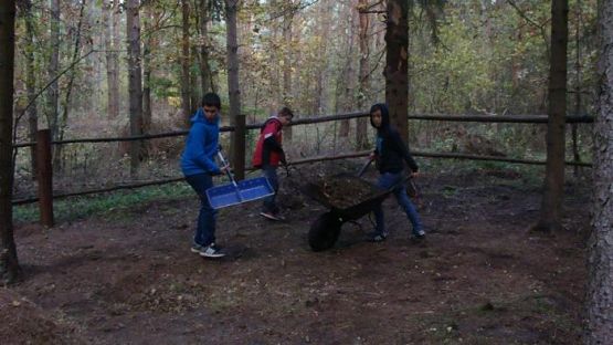  Grafika #8: Pamiętamy o poległych w czasie I wojny światowej