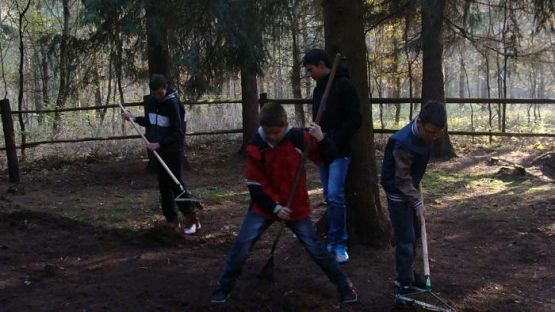  Grafika #2: Pamiętamy o poległych w czasie I wojny światowej