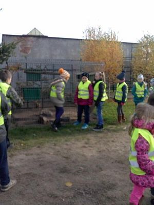  Grafika #1: Z wizytą w schronisku dla zwierząt i na cmentarzu w Lęborku