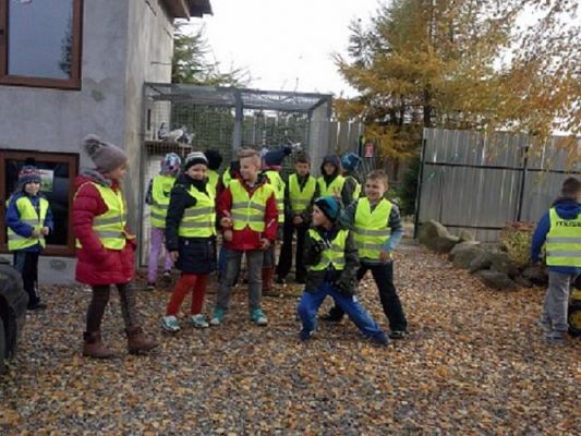  Grafika #3: Z wizytą w schronisku dla zwierząt i na cmentarzu w Lęborku