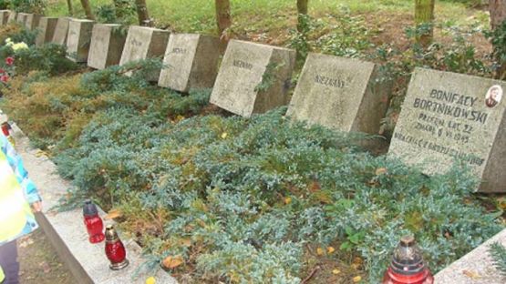  Grafika #7: Z wizytą w schronisku dla zwierząt i na cmentarzu w Lęborku