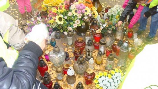  Grafika #13: Z wizytą w schronisku dla zwierząt i na cmentarzu w Lęborku