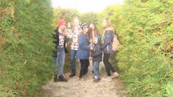 Grafika #0: Śladami Kaszub - wycieczka do Labiryntu w Parku Łeba