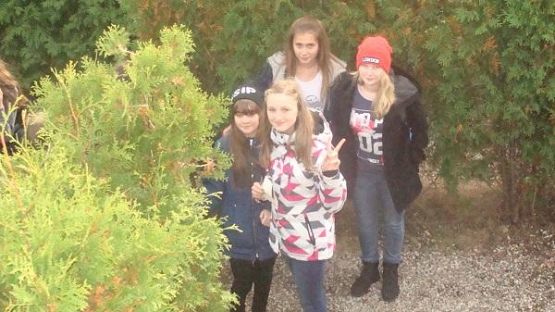 Grafika #2: Śladami Kaszub - wycieczka do Labiryntu w Parku Łeba