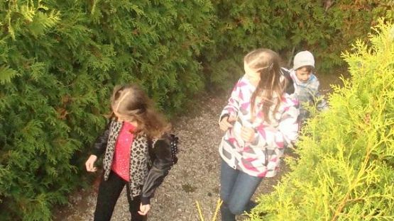 Grafika #4: Śladami Kaszub - wycieczka do Labiryntu w Parku Łeba