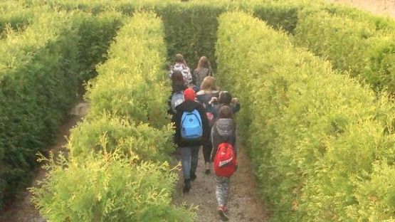 Grafika #5: Śladami Kaszub - wycieczka do Labiryntu w Parku Łeba