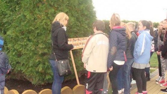 Grafika #16: Śladami Kaszub - wycieczka do Labiryntu w Parku Łeba