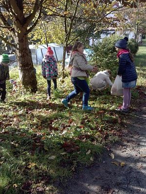 Grafika #1: Klasa III SP szuka jesieni