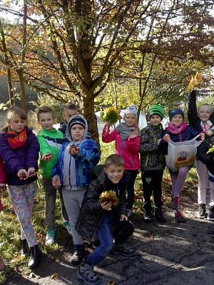 Grafika #5: Klasa III SP szuka jesieni