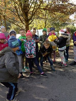 Grafika #8: Klasa III SP szuka jesieni