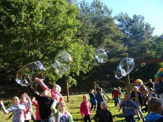 Grafika #17: Klasa II a, II b oraz III SP świętują Dzień Chłopaka oraz Dzień Pieczonego Ziemniaka