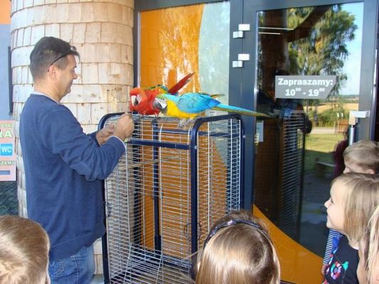  Grafika #2: Wycieczka do Parku Edukacyjnego - ZOO Egzotyczne na Kaszubach