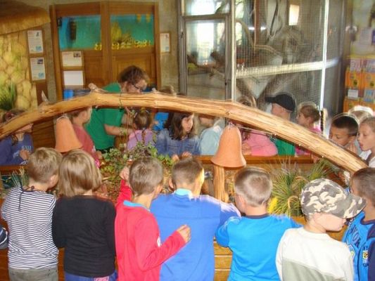  Grafika #3: Wycieczka do Parku Edukacyjnego - ZOO Egzotyczne na Kaszubach