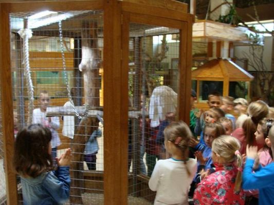  Grafika #7: Wycieczka do Parku Edukacyjnego - ZOO Egzotyczne na Kaszubach