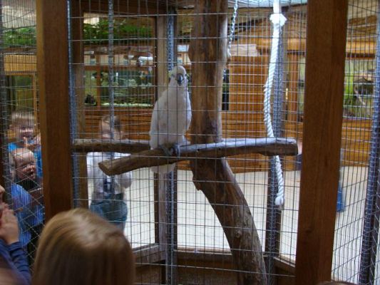  Grafika #8: Wycieczka do Parku Edukacyjnego - ZOO Egzotyczne na Kaszubach