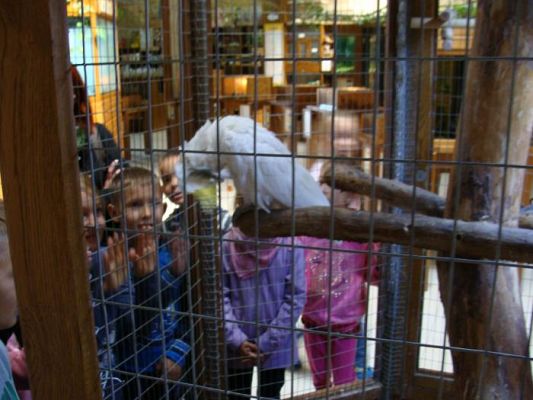  Grafika #10: Wycieczka do Parku Edukacyjnego - ZOO Egzotyczne na Kaszubach