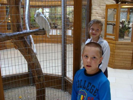  Grafika #12: Wycieczka do Parku Edukacyjnego - ZOO Egzotyczne na Kaszubach