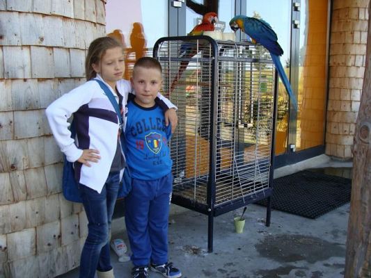  Grafika #13: Wycieczka do Parku Edukacyjnego - ZOO Egzotyczne na Kaszubach