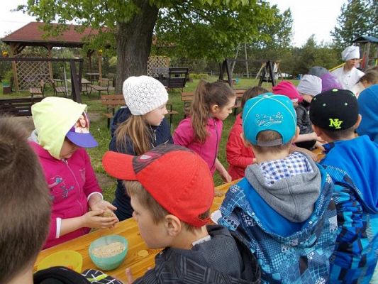  Grafika #3: Z wizytą na strusiej farmie w Kniewie