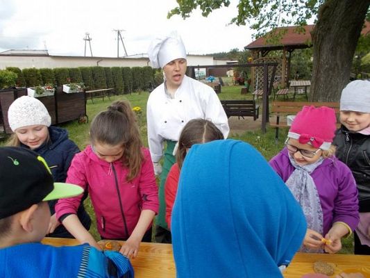  Grafika #4: Z wizytą na strusiej farmie w Kniewie