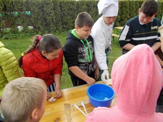  Grafika #8: Z wizytą na strusiej farmie w Kniewie