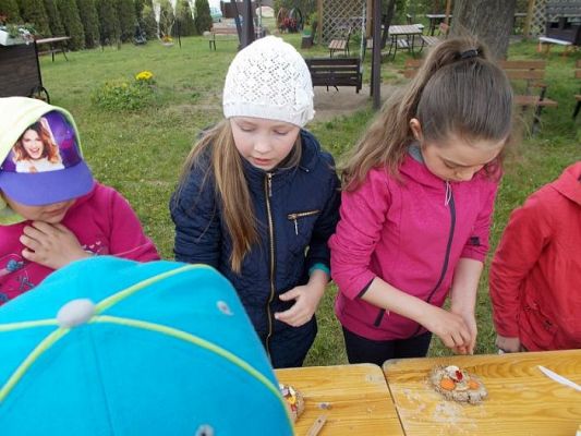  Grafika #11: Z wizytą na strusiej farmie w Kniewie