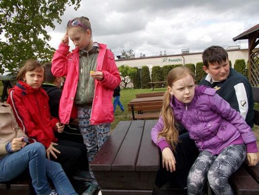  Grafika #15: Z wizytą na strusiej farmie w Kniewie