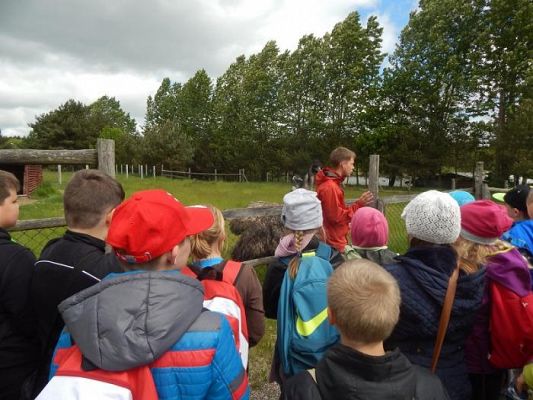  Grafika #17: Z wizytą na strusiej farmie w Kniewie