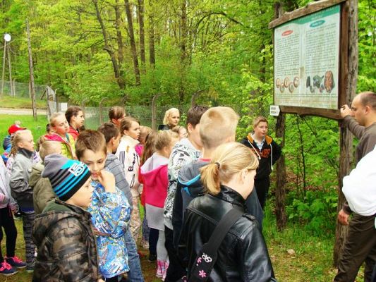 Grafika #0: U leśników w Drętowie