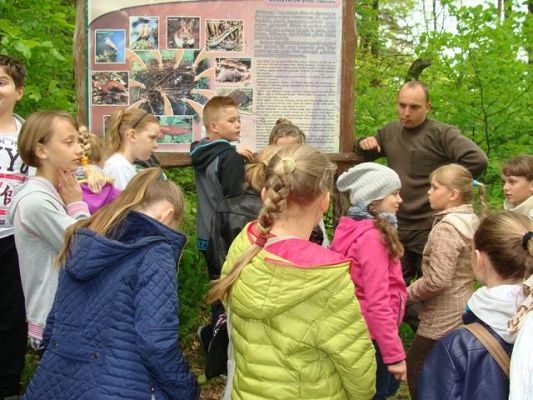 Grafika #1: U leśników w Drętowie