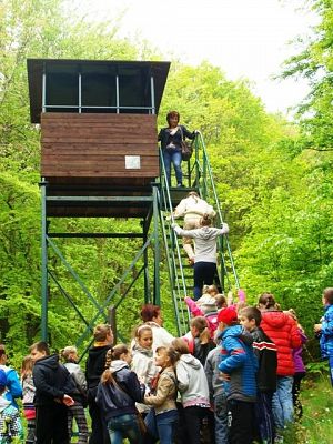 Grafika #2: U leśników w Drętowie