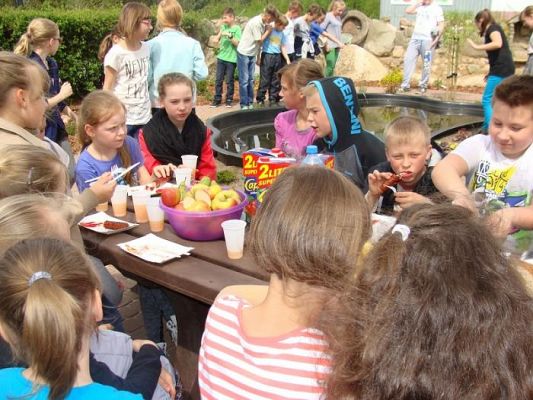  Grafika #8: Rozstrzygnięcie Powiatowego Konkursu Ekologicznego