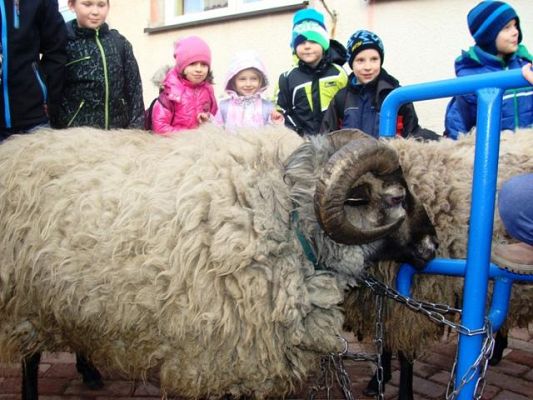  Grafika #0: Odwiedziny BARANA !