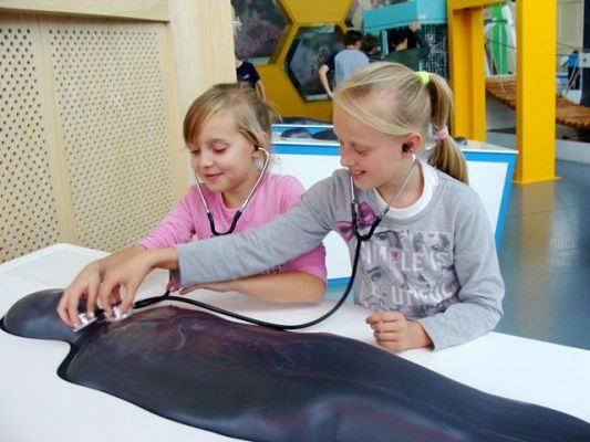  Grafika #4: Wizyta w Centrum Nauki EXPERYMENT w Gdyni