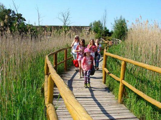 Grafika #3: Prehistoryczna wyprawa w świat dinozaurów