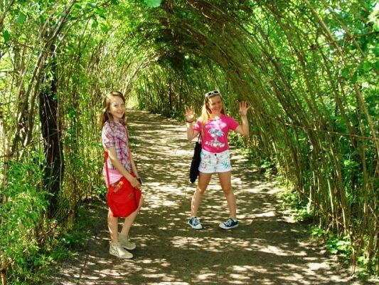 Grafika #4: Prehistoryczna wyprawa w świat dinozaurów