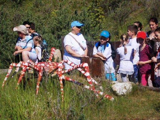  Grafika #2: Wycieczka do Ocean Parku we Władysławowie