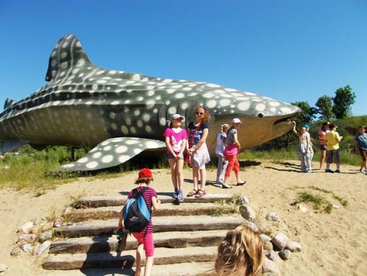  Grafika #4: Wycieczka do Ocean Parku we Władysławowie